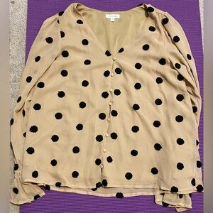 Sheer polka dot blouse. Polka dots are raised. It is lined.